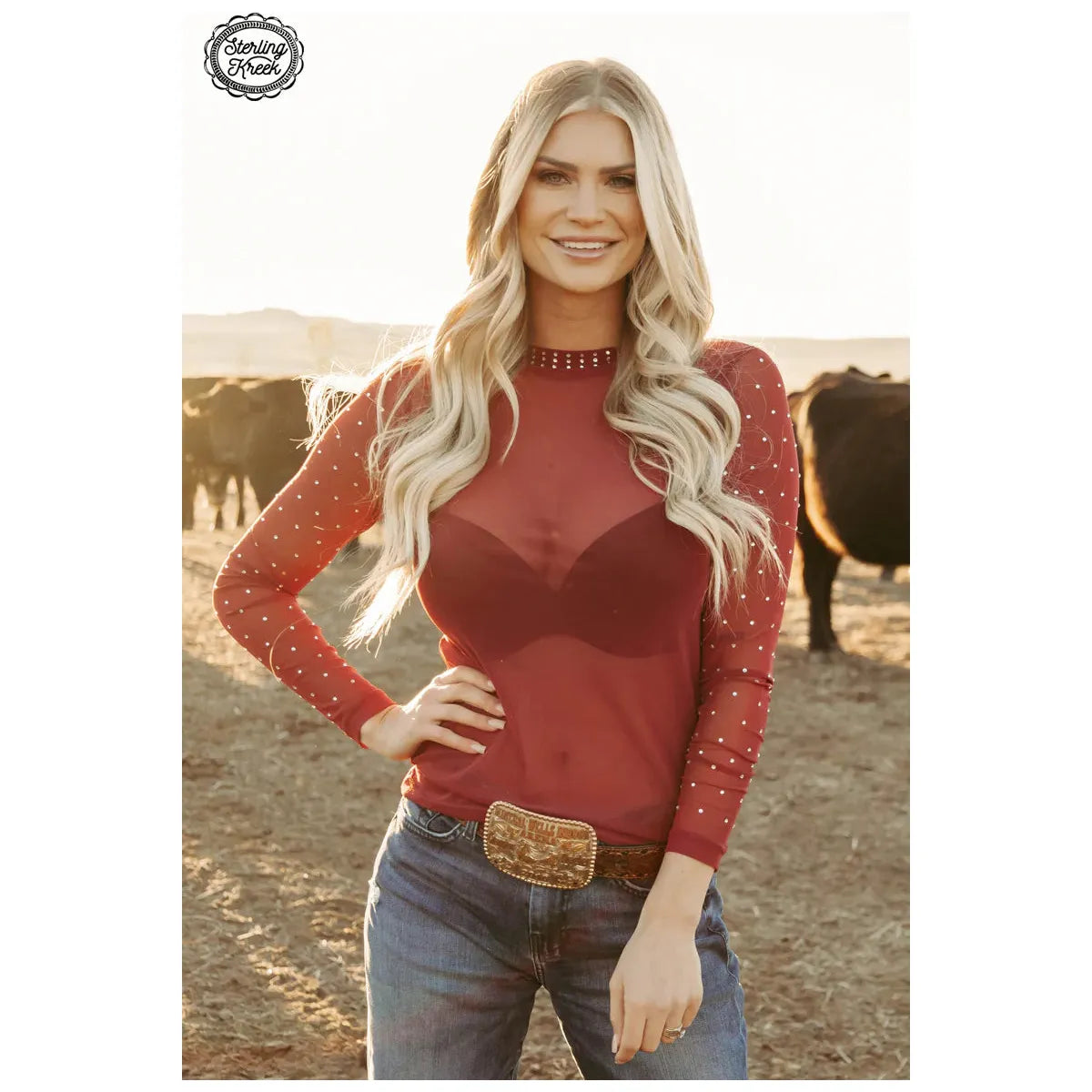Autumn Skies Mesh Top-Long Sleeves-[Womens_Boutique]-[NFR]-[Rodeo_Fashion]-[Western_Style]-Calamity's LLC